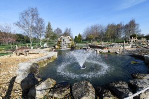 water features