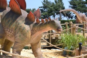 Stegosaurus