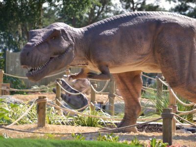Wolverhampton Adventure Golf TREX