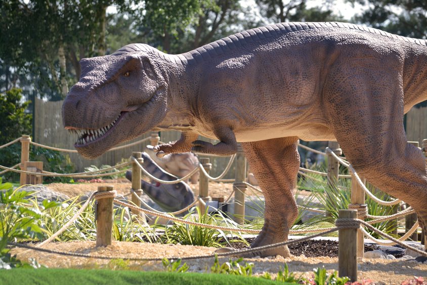 Wolverhampton Adventure Golf TREX