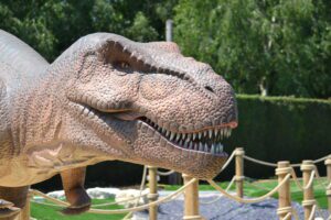 dinosaur