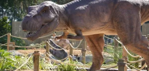 T-rex
