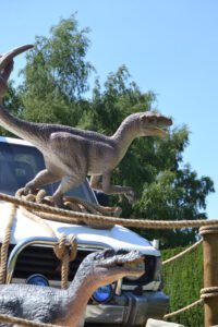 Raptors