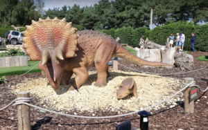 Triceratops