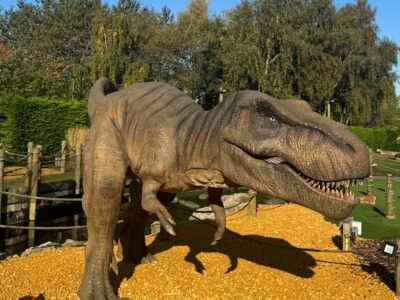 dinosaur at adventure golf