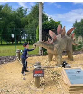 Child pointing at life-sized animatronic Stegosaurus at Wolverhampton Adventure Golf dinosaur crazy golf course