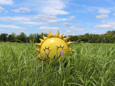Smiling sun-shaped foil balloon nestled in tall green grass under a blue summer sky